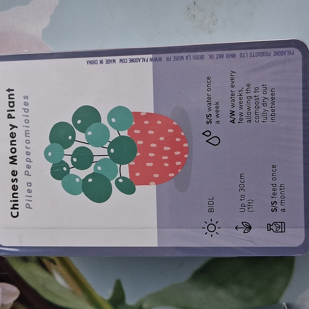 100 Ways To Become A Better Plant Parent Plant Care Cards - Picture 4 of 4